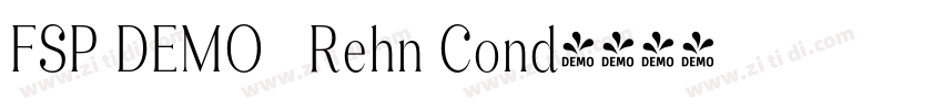 FSP DEMO   Rehn Cond字体转换
